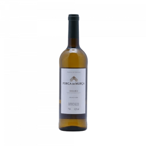 PORCA DE MURÇA BRANCO 2016